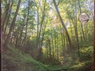 LP Live At Bonnaroo '22 - King Gizzard and the Lizard Wizard (#634457115972)
