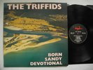 TRIFFIDS Born Sandy Devotional LP 1986 UK EX