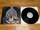 LP Blessed Death - kill or be killed US Metal