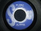 THE JAMAICANS - MR. LONELY (REGGAE)  45