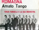 TERZO FARISELLI ROMAGNA  7