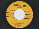 DOOWOP R&B  45 -TORNADOS - LOVE IN YOUR LIFE / GENI IN THE JUG- HEAR- BUMBLE BEE