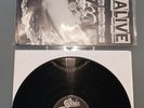 DEAD OR ALIVE - NUDE REMADE REMODELLED - JAPAN PROMO - RARE 12' VINYL