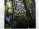 Dead Meadow - Old Growth Vinyl Record LP 2008 Pressing Bonus Poster