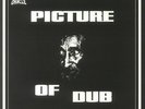 DUB ORACLE - Picture Of Dub - Vinyl (LP)