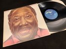 Muddy Waters 