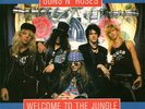 Guns N' Roses WELCOME TO THE JUNGLE Australian PICTURE Sleeve RARE 7