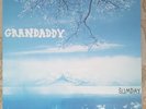 Grandaddy Sumday double vinyl LP