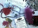 Moloko - The Time Is Now 2Maxi (VG+/VG+) '