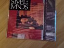 Simple Minds live