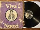 Paul Ngozi Family Viva Ngozi Fuzz Rock Zamrock Garage Vinyl LP Listen MP3
