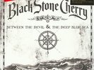 Black Stone Cherry - Between The Devil & The De (Vinyl LP - 2007 - EU - Reissue)