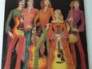 Fotheringay - Self Titled - Vinyl LP UK 1st Press Pink Island EX/NM Sandy Denny