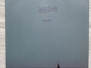 Mid-Air Thief - Crumbling - Coloured Vinyl LP