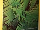 Edgar Froese – Ypsilon In Malaysian Pale LP/R823