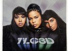 TLC 3D ARISTA 74321959371 EU VINYL 2LP