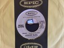 LOOKING GLASS - “Brandy (You're A Fine Girl)” Promo 45 VG+
