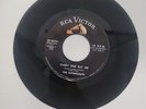ASTRONAUTS: hot-doggin' / everyone but me RCA 7