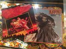 BLACKFOOT - HIGHWAY SONG LIVE & MARAUDER - VINYL LP’S  LYNYRD SKYNYRD