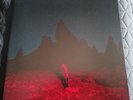 Phoebe Bridgers - Punisher - Limited Edition Seaglass Wave colour vinyl signed