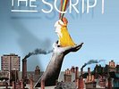 The Script The Script (180 Gram Vinyl) Records & LPs New