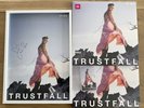 Pink / P nk SIGNED Trustfall A3 framed Poster Art + Sky Blue Pink Vinyl Album