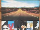The Jesus And Mary Chain- Stoned & Dethroned - Vinyl LP- E2508A