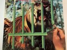 Tygers Of Pan Tang The Cage Rare Heavy Metal NWOBHM Glam Hair Hard Rock Vinyl LP