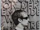 The Divine Comedy - Fin de Siècle vinyl LP - original issue 1998 