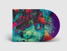PSYCHEDELIC PORN CRUMPETS - HIGH VISCERAL part two Vinyl LP Record 2 ppc