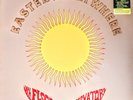 THE 13TH FLOOR ELEVATORS - EASTER EVERYWHERE - 180-GRAM BLACK VINYL LP 