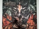 Belphegor - Walpurgis Rites Hexenwahn - Picture Vinyl Fold out - mint