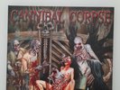 Cannibal Corpse - The Wretched Spawn - Pink Vinyl NM