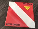 Van Halen-Diver Down-record/vinyl-In Shrink w/Hype sticker-1982-Eddie Van Halen