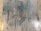 Anberlin Paper Tigers 2021 LP Ltd. US pressing NM Vinyl/EX Cover