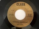 Rare Ohio Rockabilly Bopper 45 / Don Lewis 