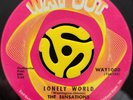 Northern Soul 45 - The Sensations - Lonely World - Way Out HEAR
