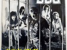 U.D.O ANIMAL HOUSE RCA RPL8398 JAPAN PROMO VINYL LP