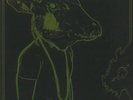 SHAKEY GRAVES - Roll The Bones X (10th Anniversary Expanded Edition) - 2xLP