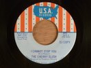 The Cherry Slush  Don't Walk Away/I Cannot Stop You  Promo  RARE  Garage, Psych