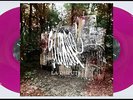 La Dispute Wildlife 2LP Auf Lila Vinyl Neu Versiegelt Klappcover
