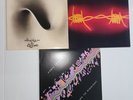 ROBIN TROWER Bridge Of Sighs;Caravan To Midnight Victim's of Fury 3 VINYL LP LOT