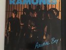 Ramones Animal Boy 1986 RARE PROMO  Brown TRANSLUCENT Vinyl NM Orig Inner Sleeve