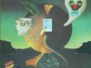 NICK DRAKE 