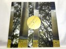 You Blew It  Keep Doing What You're Doing 2014 LP, TSR094  80 Gram Tested EX EX