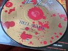 SLAYER Hell Awaits LP Picture Disc jeff Haneman Tom Araya Kerry King