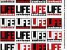 Life Sentence / No Experience Necessary 12