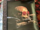 grateful dead grayfold ultimate dark star vinyl Record 3lp
