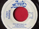 FUNKY RAINBOW _ Trinidad Boogie _ WHAT I WANT IS WHAT I GET 45 Disco 7