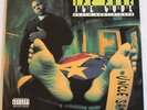 Ice Cube - Death Certificate (Vinyl LP 1991)